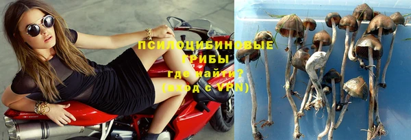 гидропоника Надым