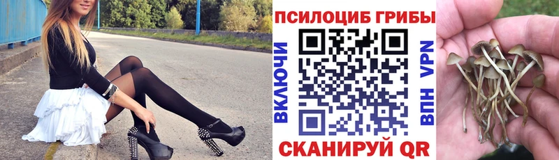 Галлюциногенные грибы Psilocybine cubensis  кракен как зайти  Цоци-Юрт 